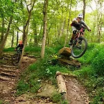 Trailblazer-On Slaughter Pen Trail