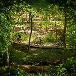 Trailhead Mews-Shred Unit 1 Dt Bentonville- Mtb