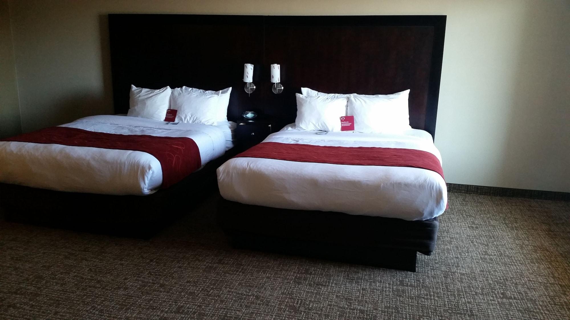 Comfort - Rogers Bentonville