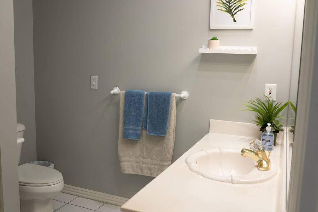 Walking Distance To Coler Mtn Bike - 3br 2ba