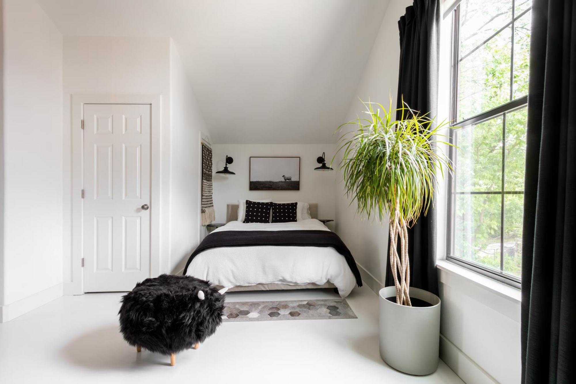 The Loft - Private, Cozy, Pet-friendly Oasis Hotel *
