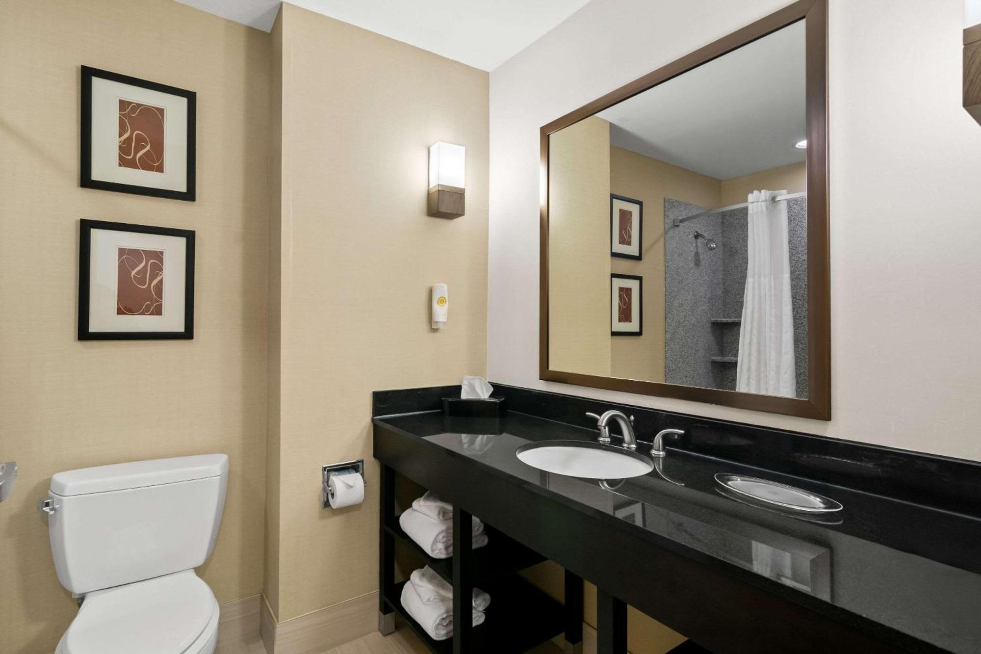 Comfort - Rogers Hotel
