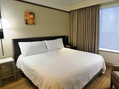 Hilton Garden Rogers Hotel Bentonville
